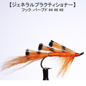 ドライフライ 10本 入門セット #12 #14 初心者 入門者 バーブド 完成品
