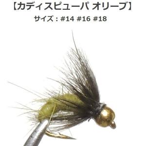 ニンフ BH カディスピューパ オリーブ (#14 #16 #18) フライ  完成品フライ ルアー 釣り 川 渓流 管理 エリア