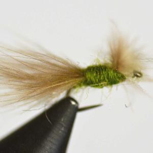 ドライフライ バーブレス CDC カディス アダルト オリーブ(18