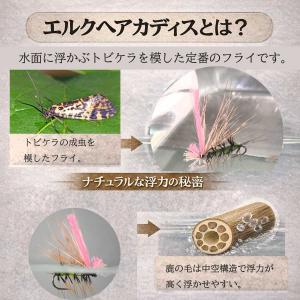 ドライフライ 7本 セット エルクヘアカディス...の詳細画像4