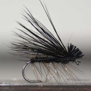 ドライフライ エルクヘアーブラックウイング カディス