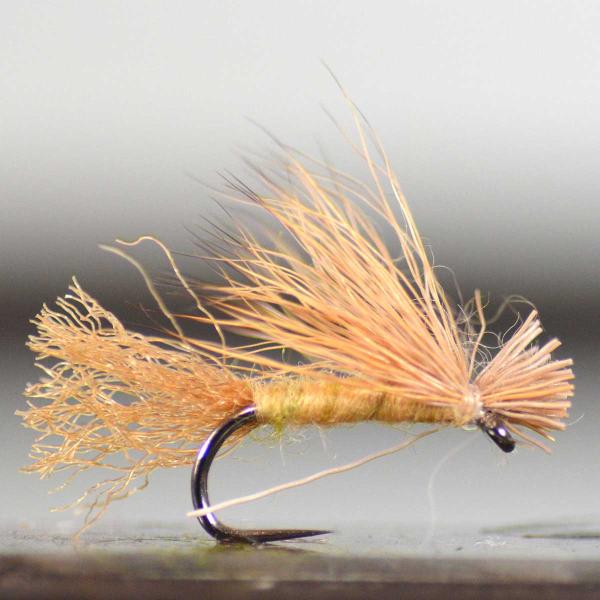 【5のつく日｜クーポン+PayPay高還元】ドライフライ Ｘカディス タン (#12 #14 #16...