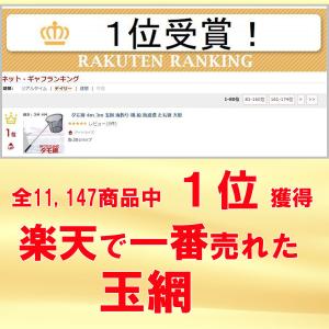 タモ網 たも 網 おすすめ 青物 4m 3m ...の詳細画像2