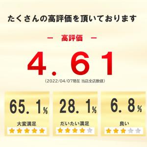 タモ網 たも 網 おすすめ 青物 4m 3m ...の詳細画像3
