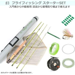 DAIWA ダイワ フライフィッシング 入門 セット スタート #3 F803