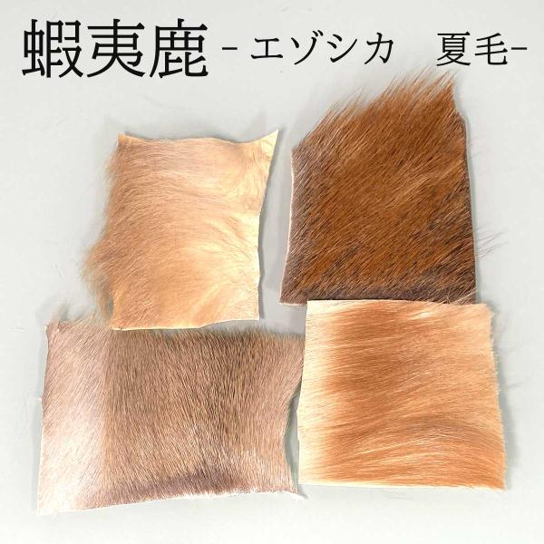 エゾシカ 夏毛 マテリアル 8×8cm フライ 蝦夷鹿 北海道産 エルクヘア フライマテリアル ドラ...