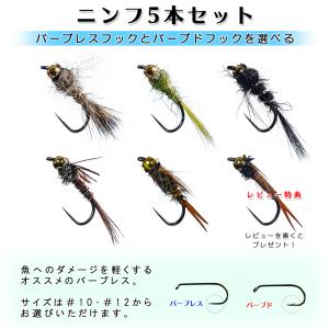 ドライフライ 10本 入門セット #12 #14 初心者 入門者 バーブド 完成品