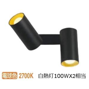 遠藤照明 ダクトレール用スポットライト SXS3025BB : アート