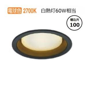 Panasonic（パナソニック） LEDダウンライト テクニカル照明 器具本体