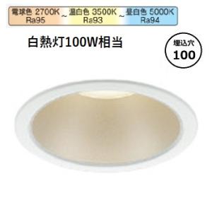 KOIZUMI（コイズミ） AE45829E コイズミ照明 調光器 Fit調色専用ライト