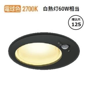 ODELIC（オーデリック） 屋外用LEDダウンライト 軒下取付専用 埋込穴