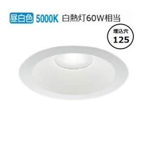 Panasonic（パナソニック） LEDダウンライト テクニカル照明 器具本体