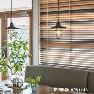 東芝ライテック LEDスポットライト LEDS88024R 東芝ライテック