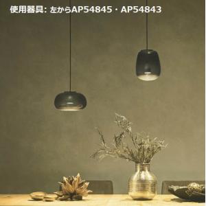 遠藤照明 XRP6091W LEDZ LAMP ペンダントライト AbitaExcel 本体のみ