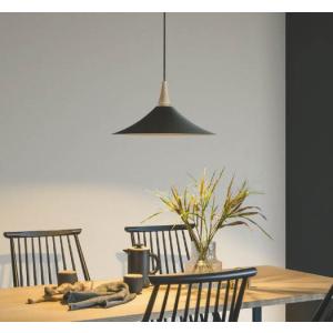 KOIZUMI（コイズミ） コイズミ照明 シャンデリアペンダント AP54239