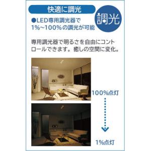 大光電機 和風ブラケット 屋内用 DBK369...の詳細画像2