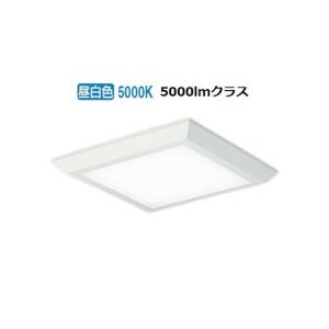 大光電機:ＬＥＤベースライト DBL-5450WW(メーカー直送品) :icn-cmt