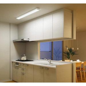 大光電機 キッチンベースライト DCL39920W 工事必要 : アート