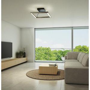 大光電機 洋風シーリング 調色調光タイプ DXL81354 : アート