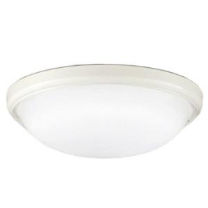 DXL-81345C 大光電機 防雨 防湿形器具 DXL81345C 工事必要