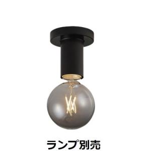 遠藤照明 小型シーリング ランプ別売 無線調光 ERG5556B 工事必要｜art-lighting