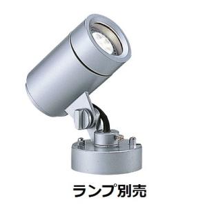 大光電機 アウトドアスポット DOL4824YS 工事必要 : アート