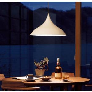 Panasonic（パナソニック） LEDダウンライト テクニカル照明 器具本体