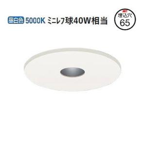 パナソニック ピンホールダウンライト LGD1038NLB1 調光 工事必要｜art-lighting