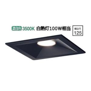 Panasonic（パナソニック） LEDダウンライト テクニカル照明 器具本体