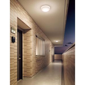 大光電機 屋内・屋外兼用グレアレスダウンライト DDL6234YWG COBタイプ