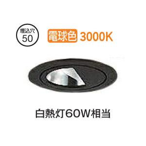 遠藤照明 【即納・在庫品】RX141N 遠藤照明(ENDO) 2400/3000TYPE, Rs