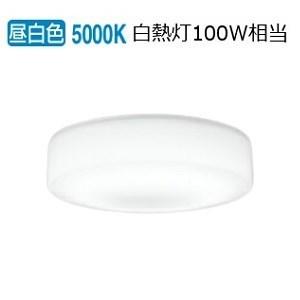 ODELIC（オーデリック） 防雨防湿型器具 OG254873R 昼白色 高演色 白熱