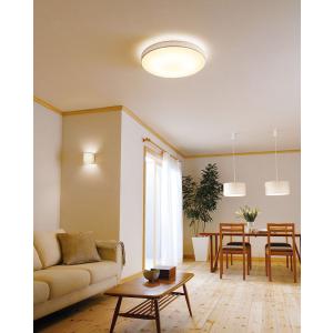 ODELIC（オーデリック） シーリングライト OL291411BR 〜12畳用 調光調