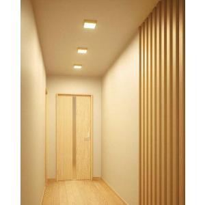 【新品未開封】大光電機ダウンライト 楽天市場】大光電機 屋内・屋外兼用ベースダウンライト DDL6222YS COB