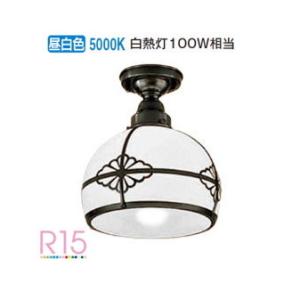 Panasonic（パナソニック） LEDダウンライト テクニカル照明 器具本体