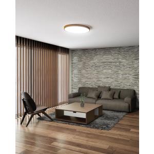 オーデリック シーリング Bluetooth 調光・調色 OL291423BR｜art-lighting