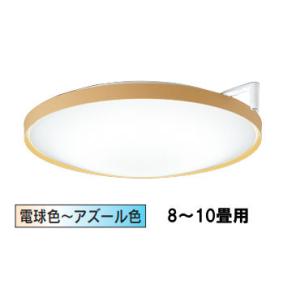 Panasonic（パナソニック） 傾斜天井用ダウンライト 60形相当 電球色