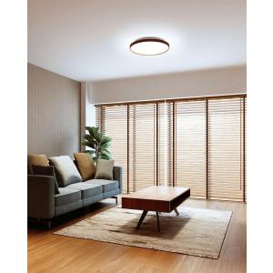 ODELIC（オーデリック） シーリングライト OL291411BR 〜12畳用 調光調