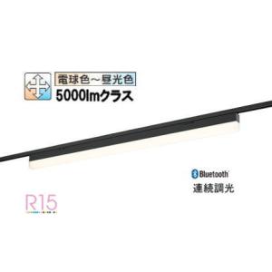 Panasonic（パナソニック） ダクトレール用ペンダント (ランプ別売