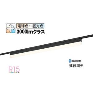 ODELIC（オーデリック） OL291576R2B(LED光源ユニット別梱) ベース