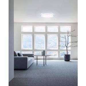 ODELIC（オーデリック） シーリングライト OL291363BR 〜6畳用 調光調