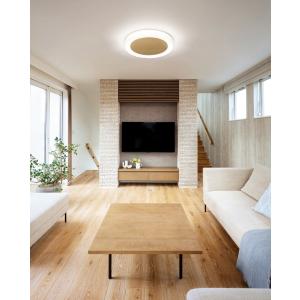 Panasonic（パナソニック） LEDダウンライト テクニカル照明 器具本体