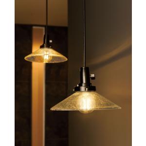 Panasonic（パナソニック） ペンダント(ランプ別売) LGB15397 【北海道