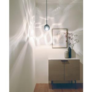 ODELIC（オーデリック） ペンダントライト OP252988LR 電球色 高演色