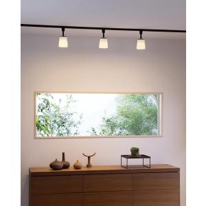 ODELIC（オーデリック） スポットライト 【OS256464R】【OS 256 464R