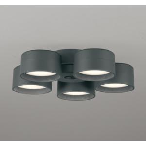 Panasonic（パナソニック） 屋内用LEDダウンライト用リニューアル