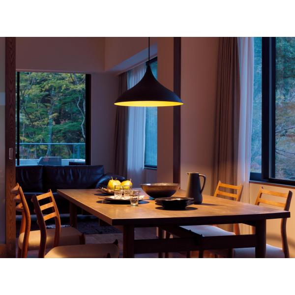 パナソニック ペンダント XLGB1412CE1(LGB15193+LLD4000LCE1) 工事必...