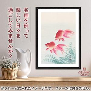 伊藤若冲 作品 ポスター A3サイズ 老松孔雀図 複製画 グッズ 絵画