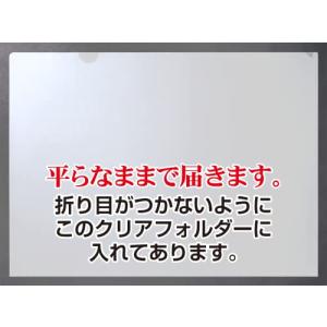 ムンク 作品 ポスター A3 叫び ムンクの絵...の詳細画像4