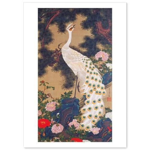 伊藤若冲 作品 ポスター A3サイズ 老松孔雀図 複製画 グッズ 絵画 おしゃれ インテリア アート...